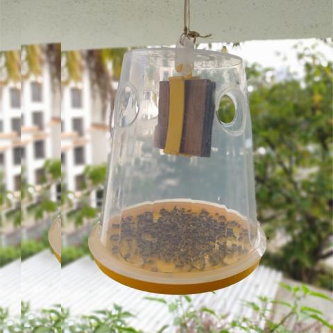 fruit-fly-trap