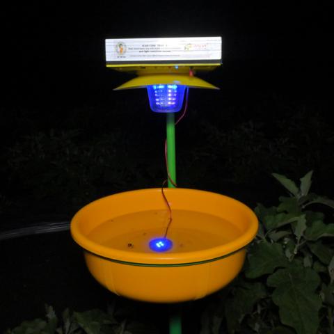 icar-cish-trap