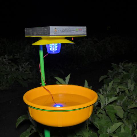 icar-cish-trap