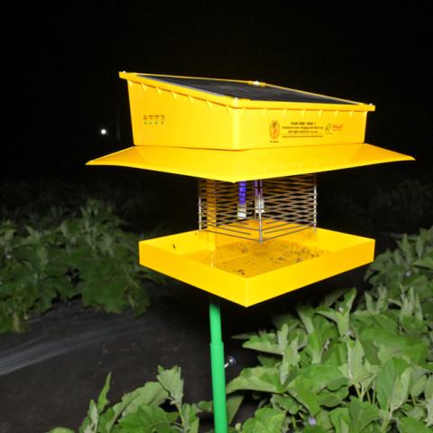 icar-cish-trap