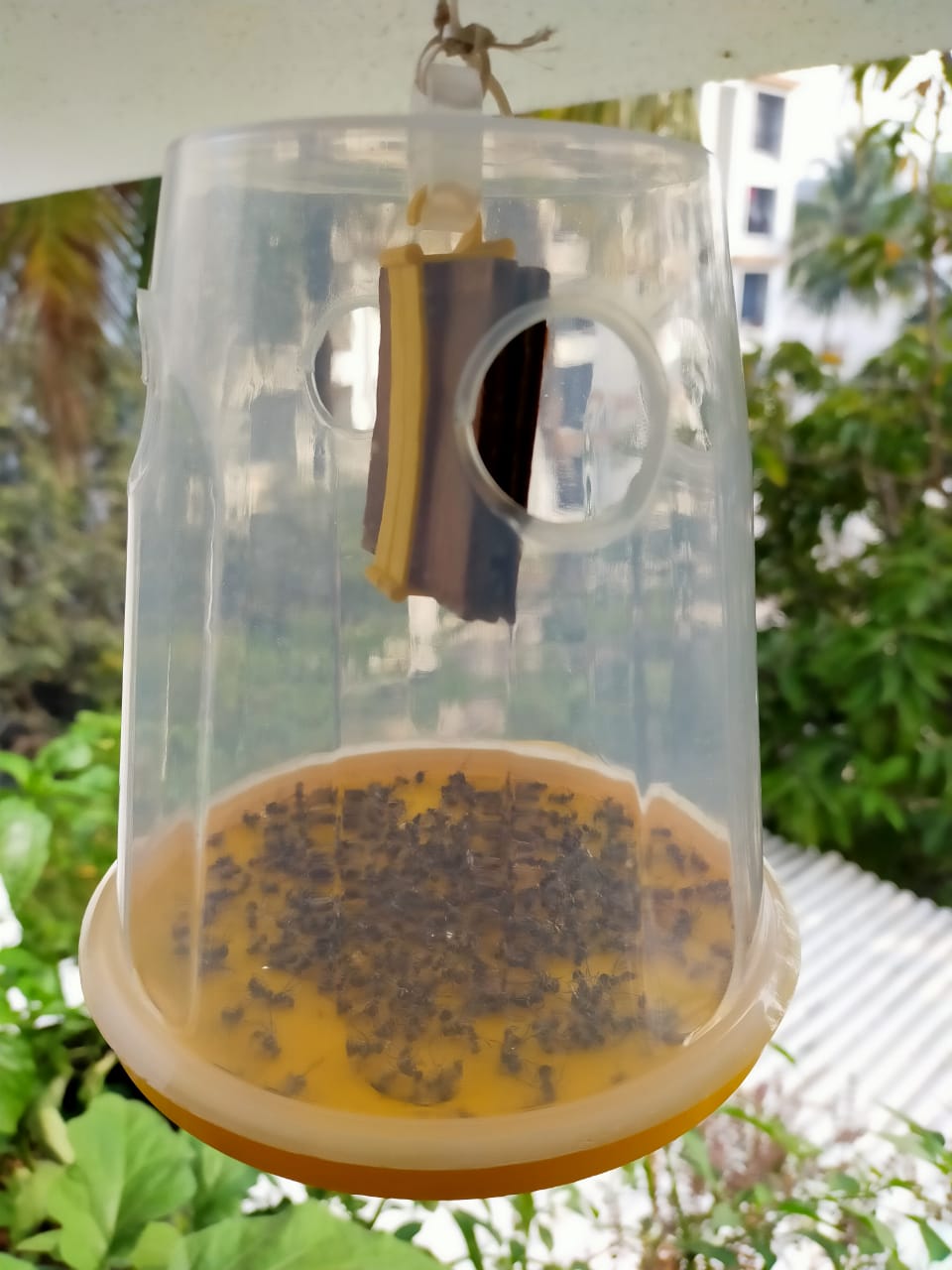Fly Trap O-Mat For Fruits