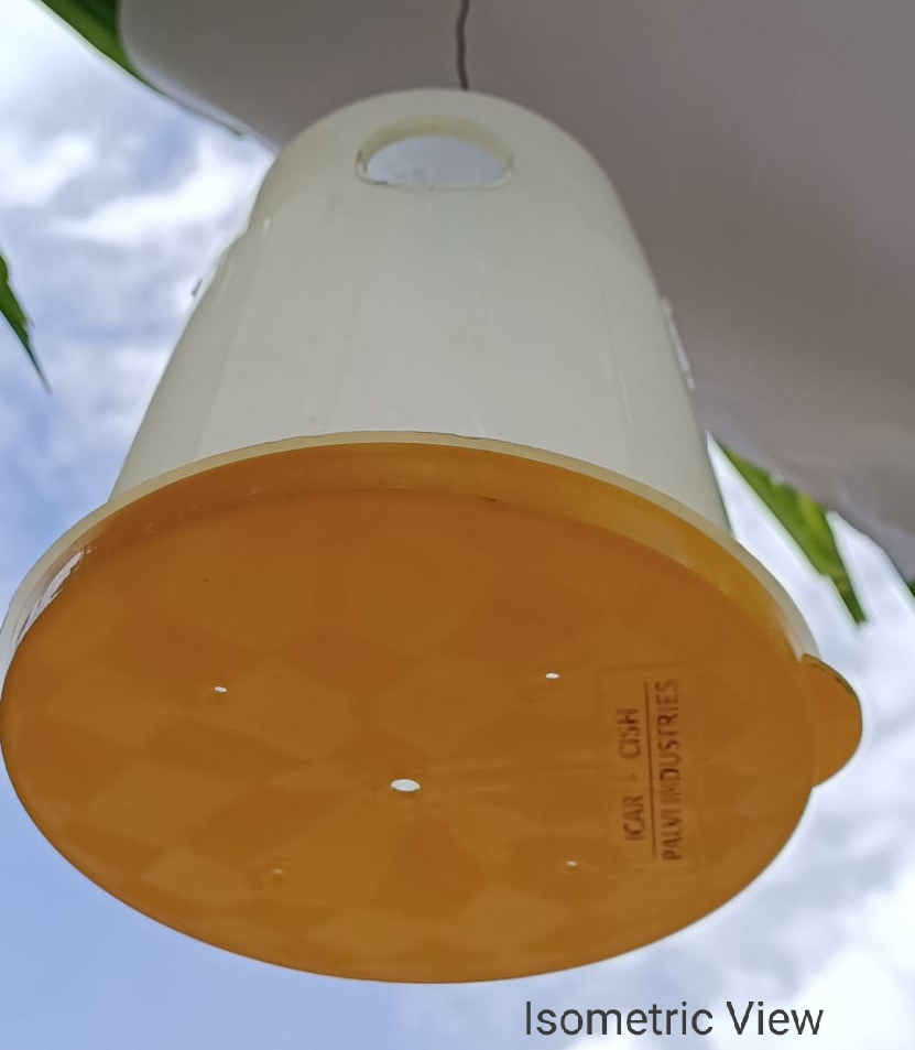 Fruit Fly Trap Container