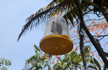 Fly Trap O-Mat For Vegetables