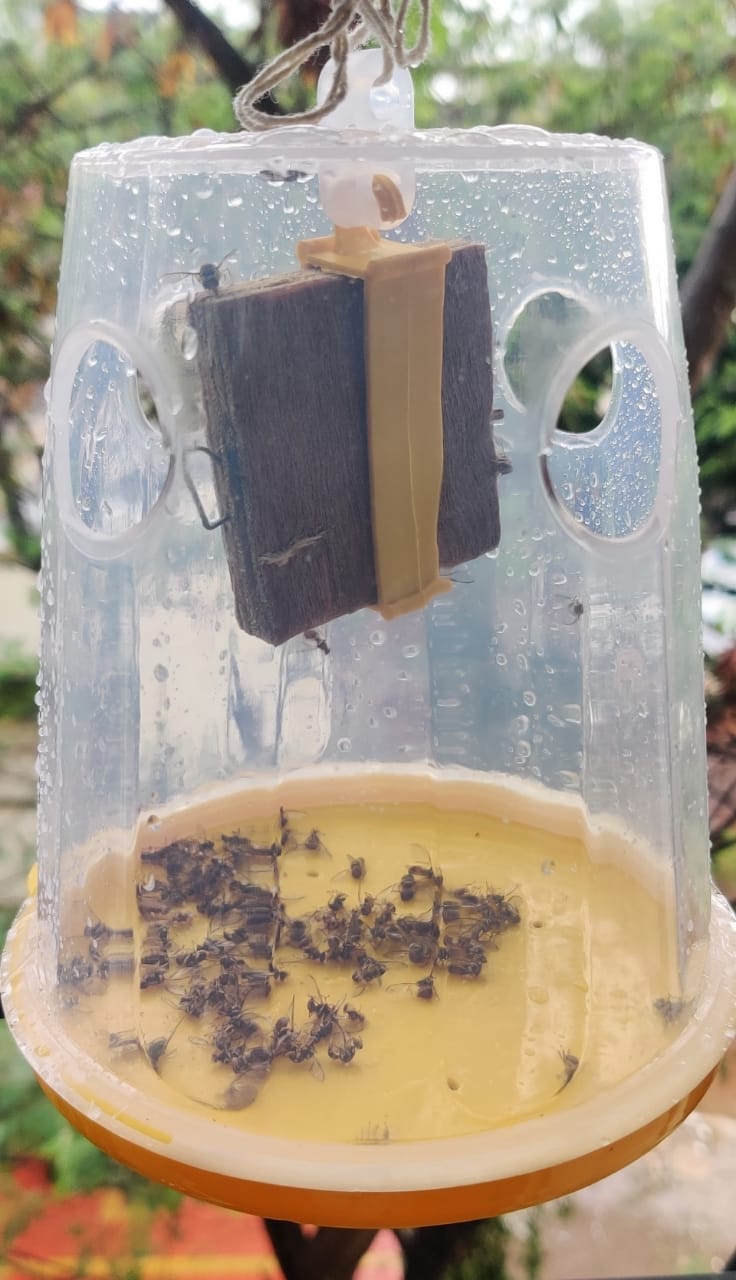 Fly Trap O-Mat For Vegetables