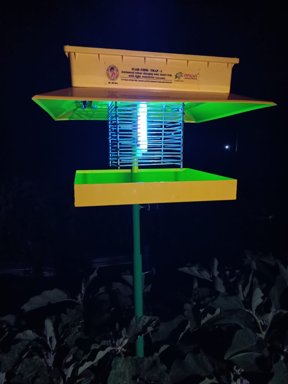 ICAR-CISH Trap 1