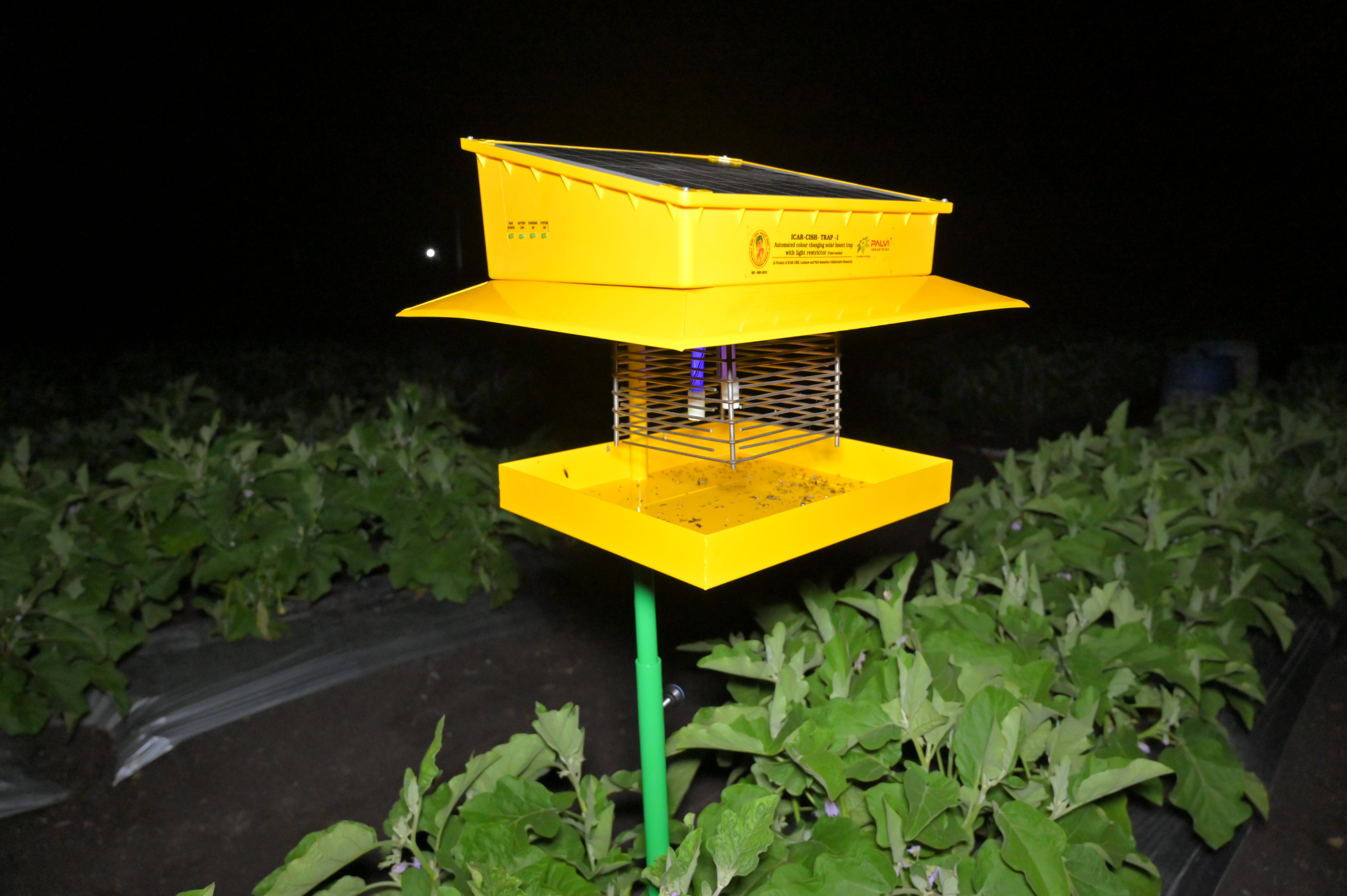 ICAR-CISH Trap 1