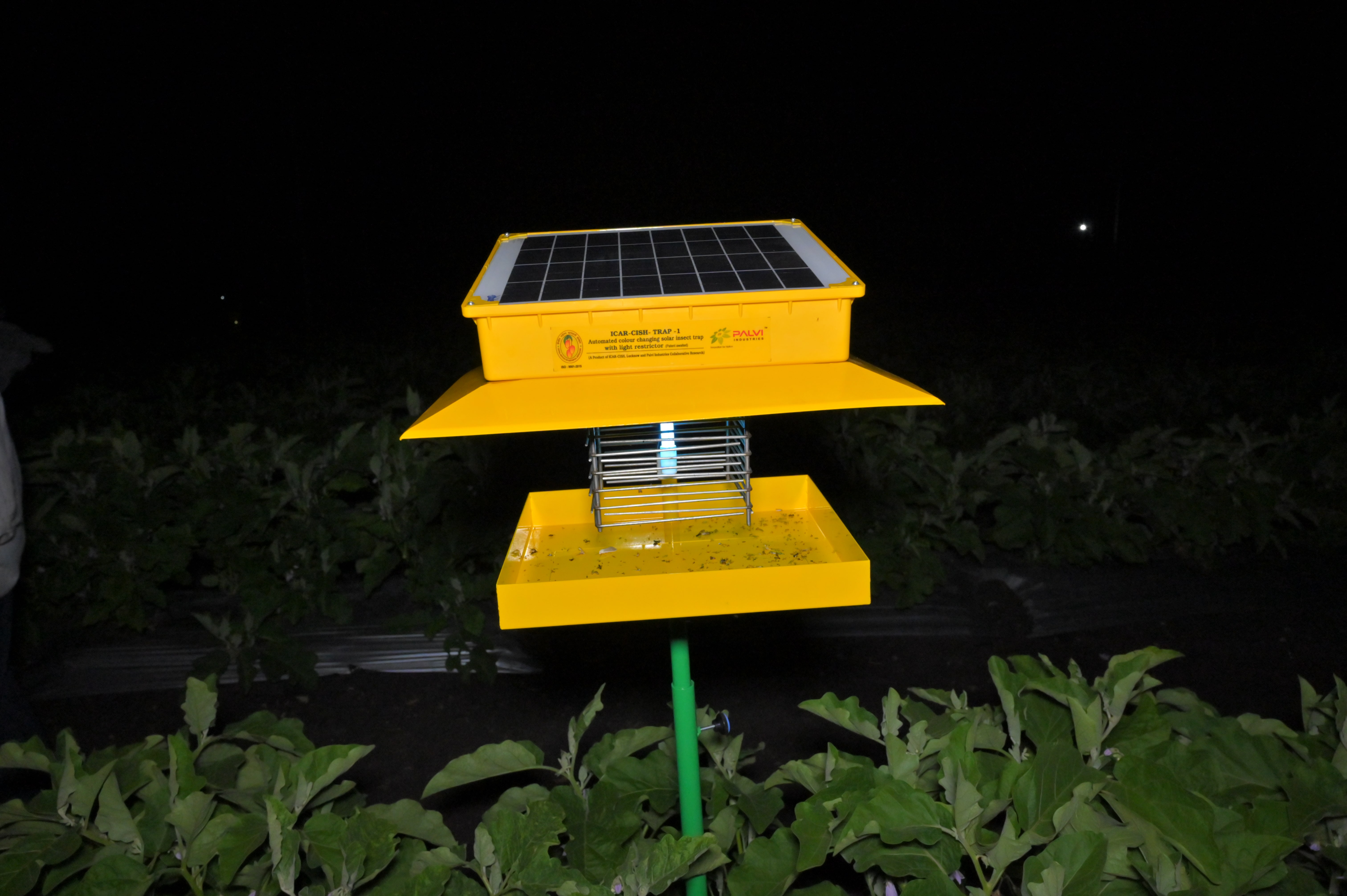 ICAR-CISH Trap 1