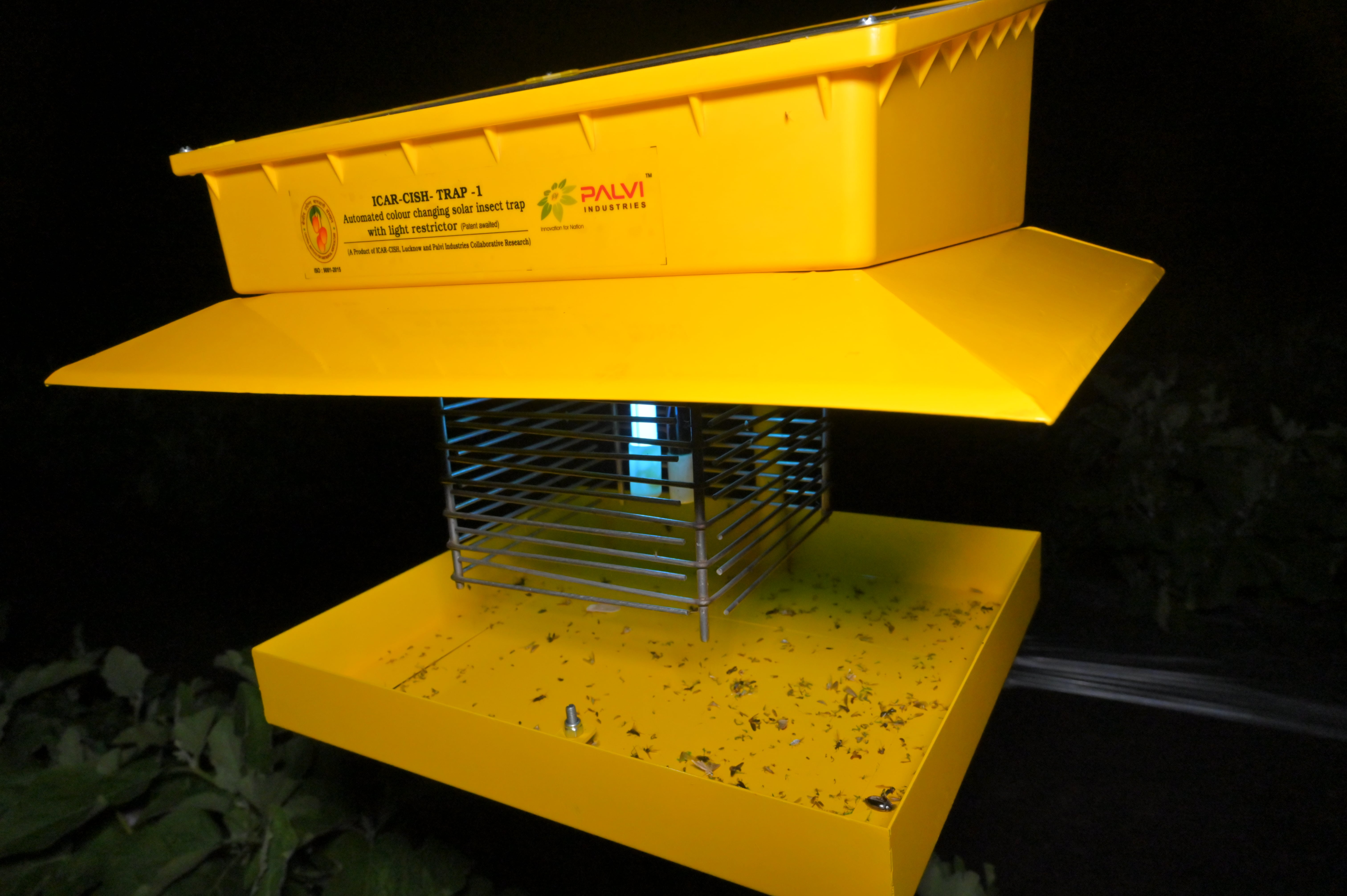 ICAR-CISH Trap 1