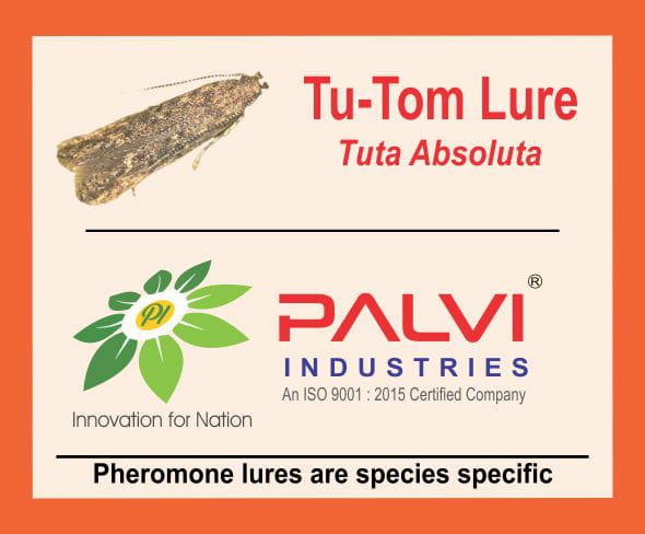 Tuta Absoluta