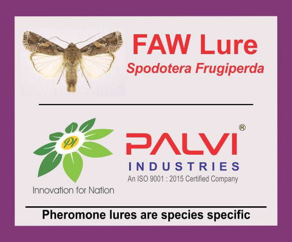 Spodoptera Frugiperda