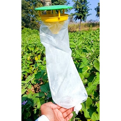 Funnel Trap