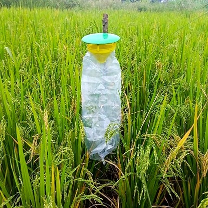 Funnel Trap