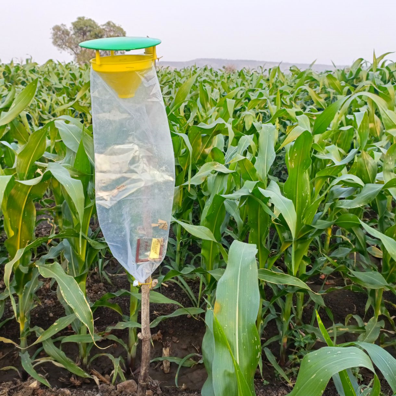 Funnel Trap