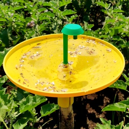 Water Trap