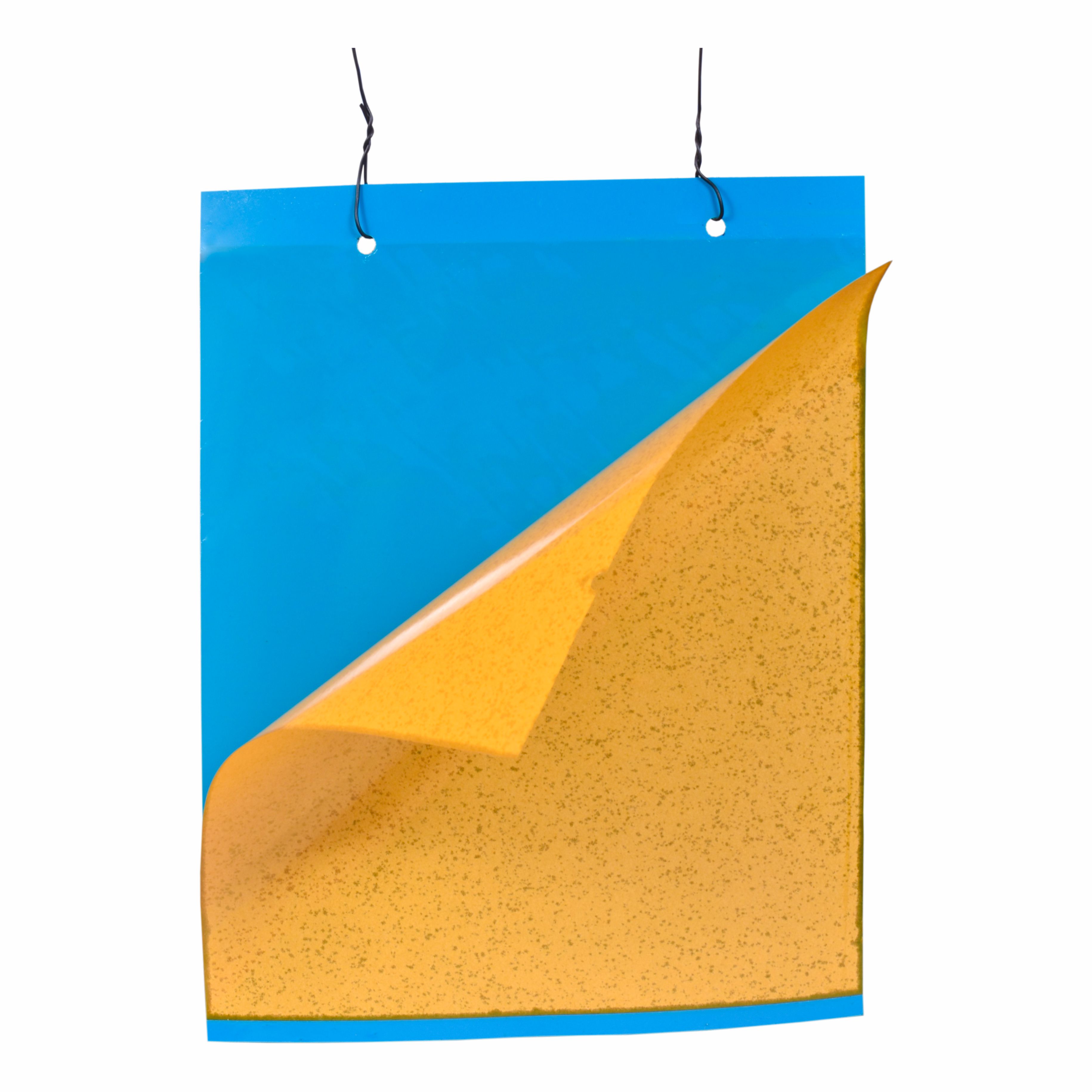 Multilayer Sticky Traps
