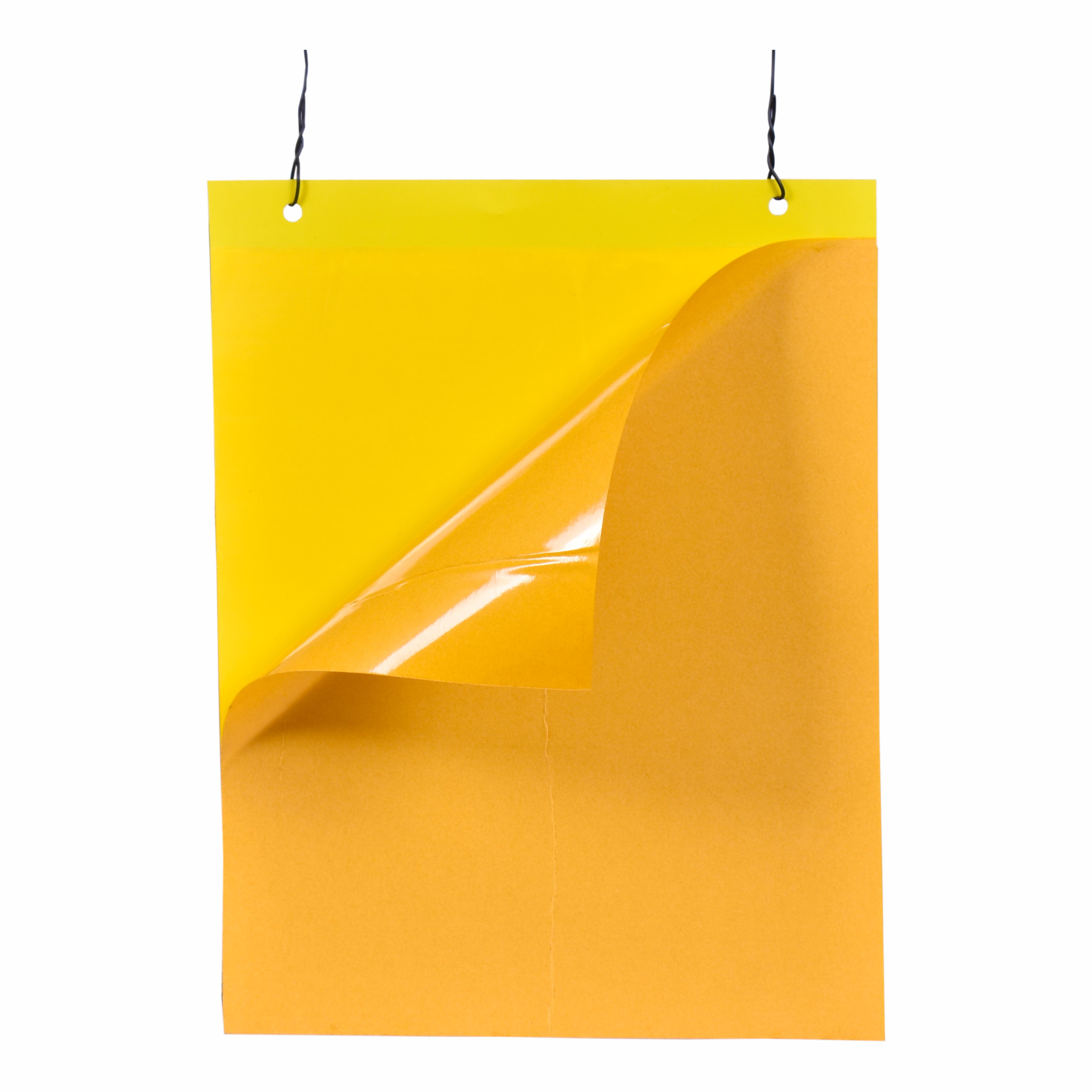 Multilayer Sticky Traps