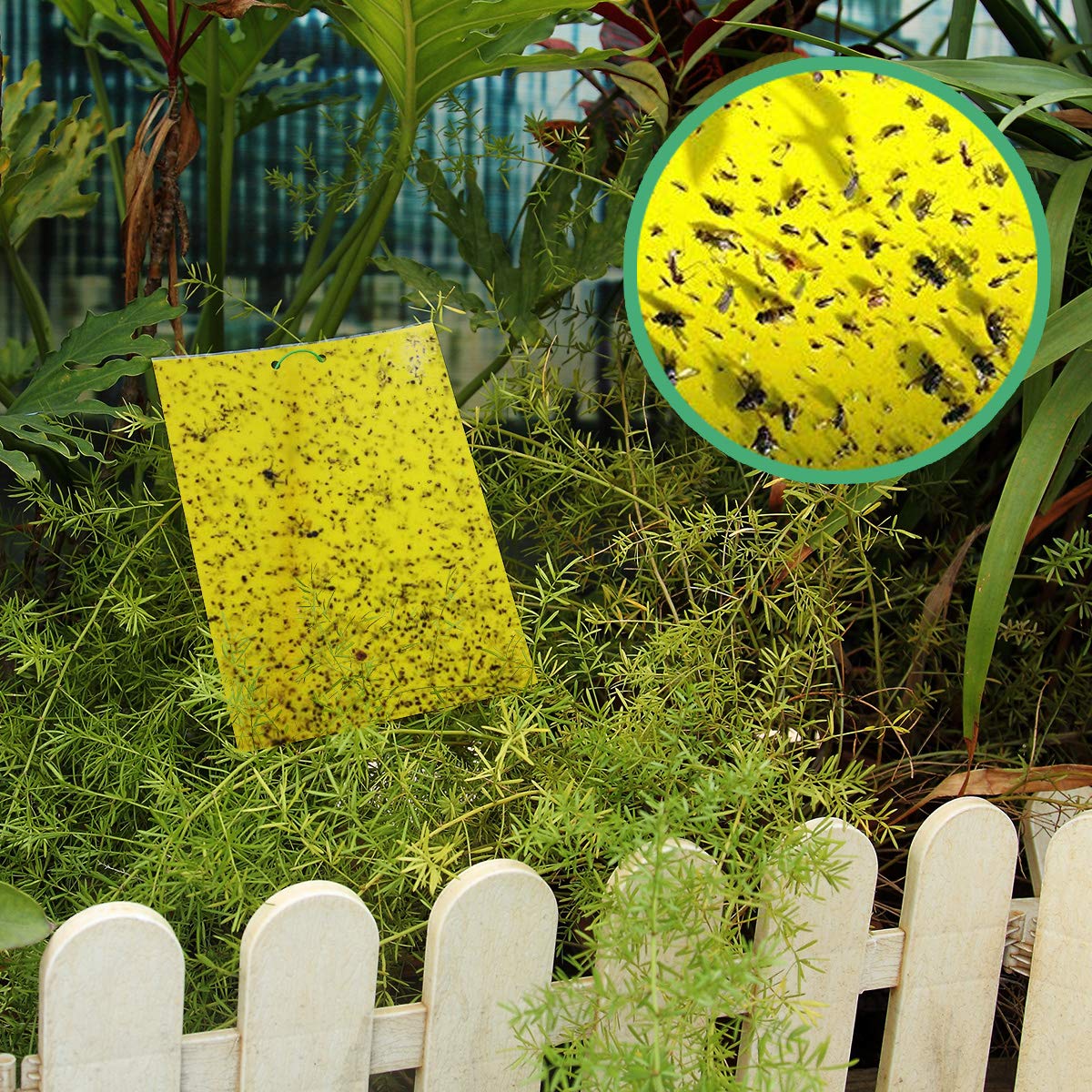 Sticky Pad Yellow Blue